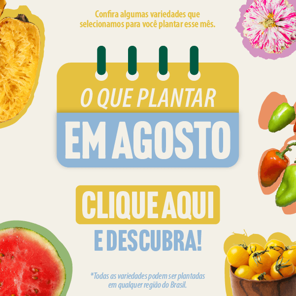 Banner o que plantar