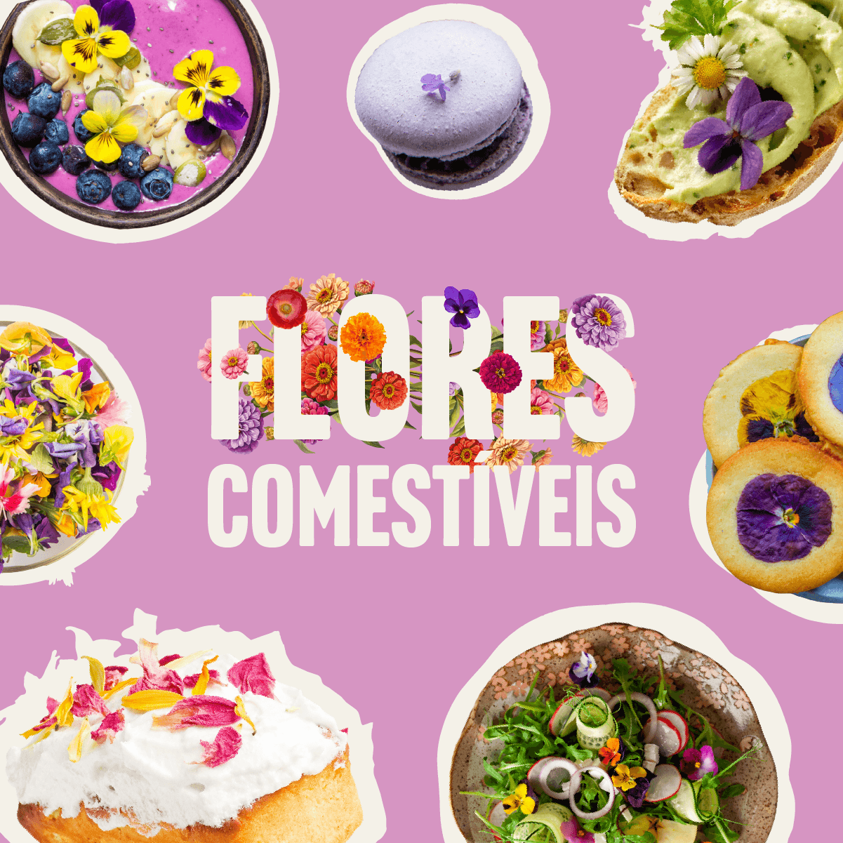 Flores Alimentícias