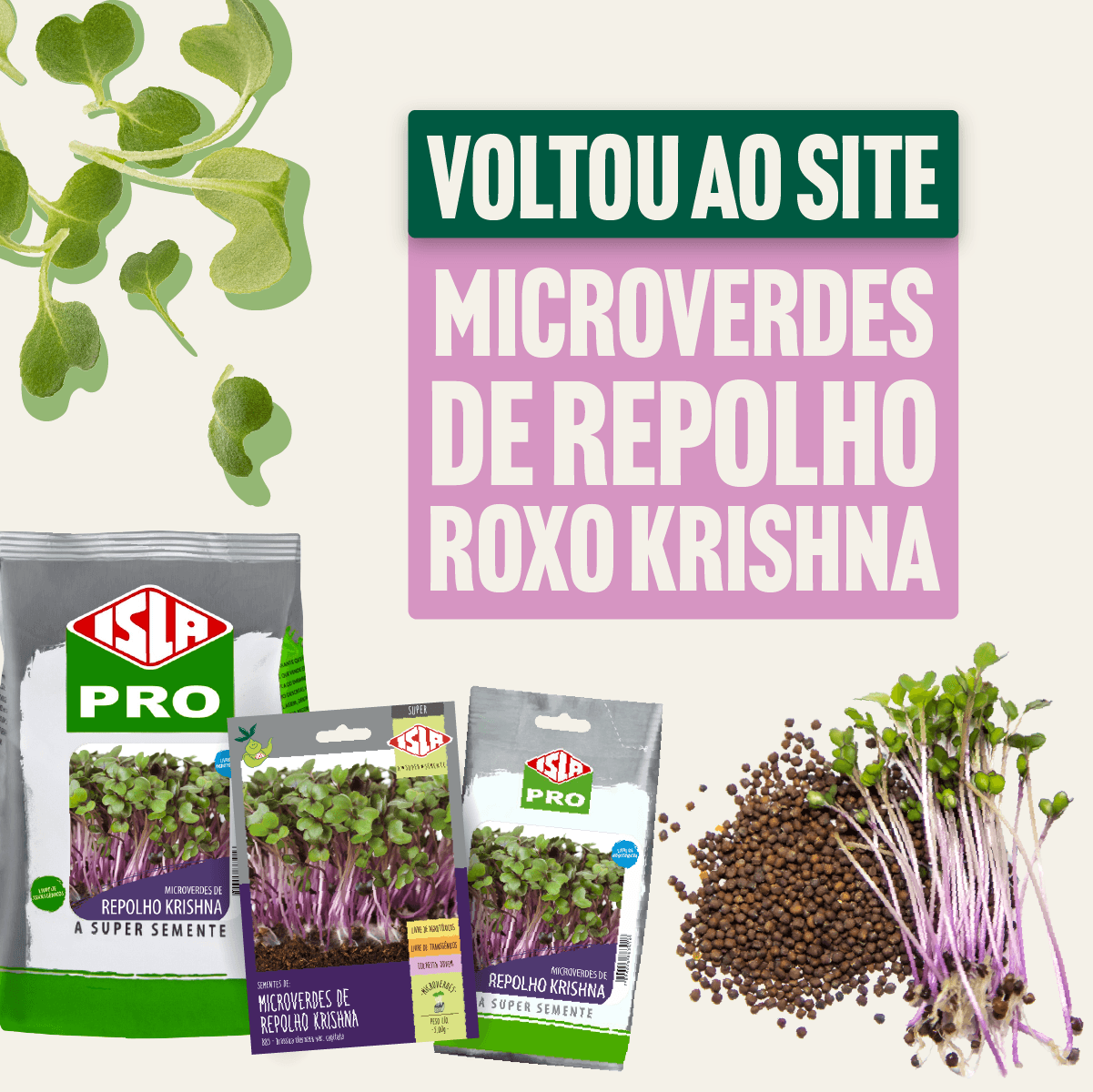 REPOLHO KRISHNA