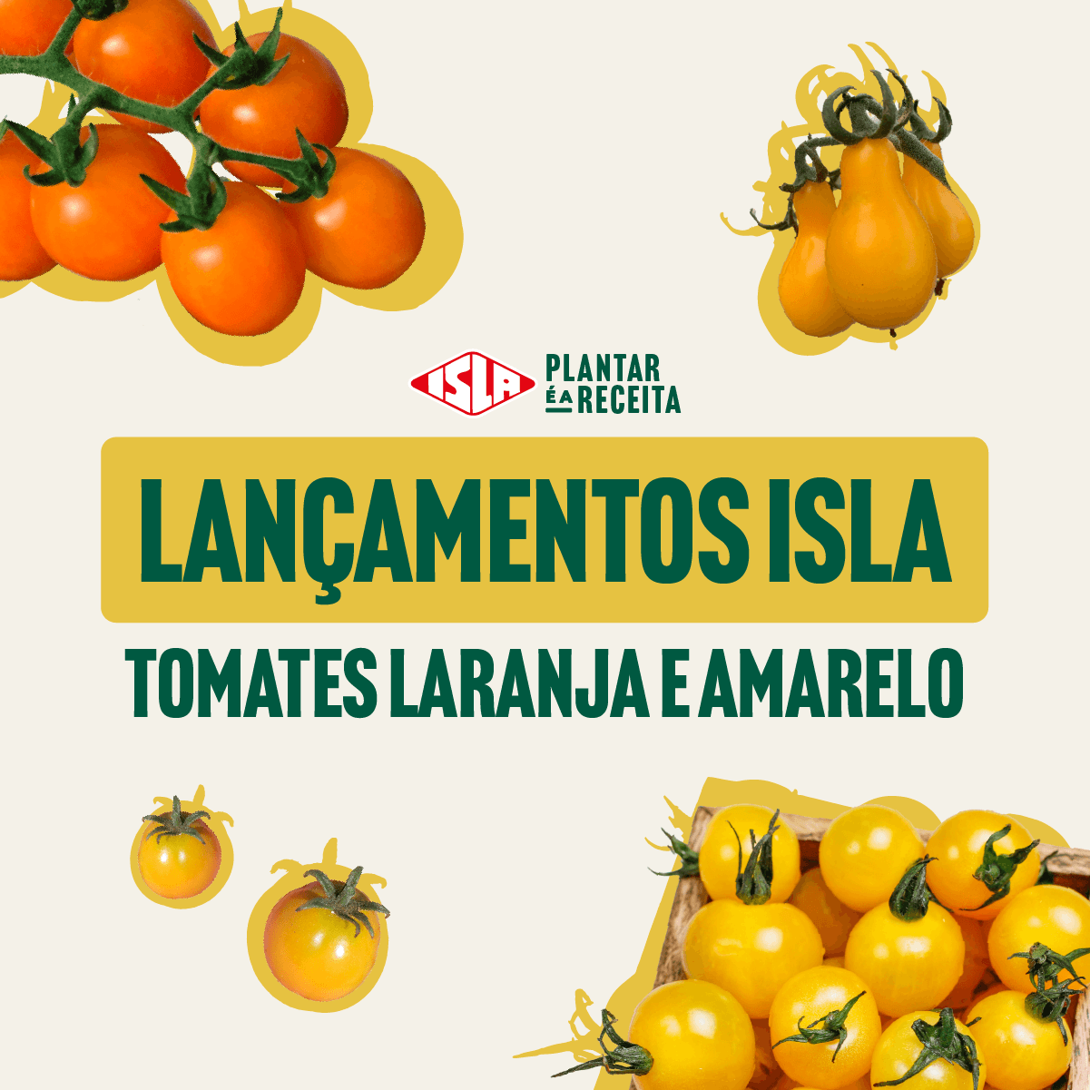 LANÇAMENTO TAORMINA