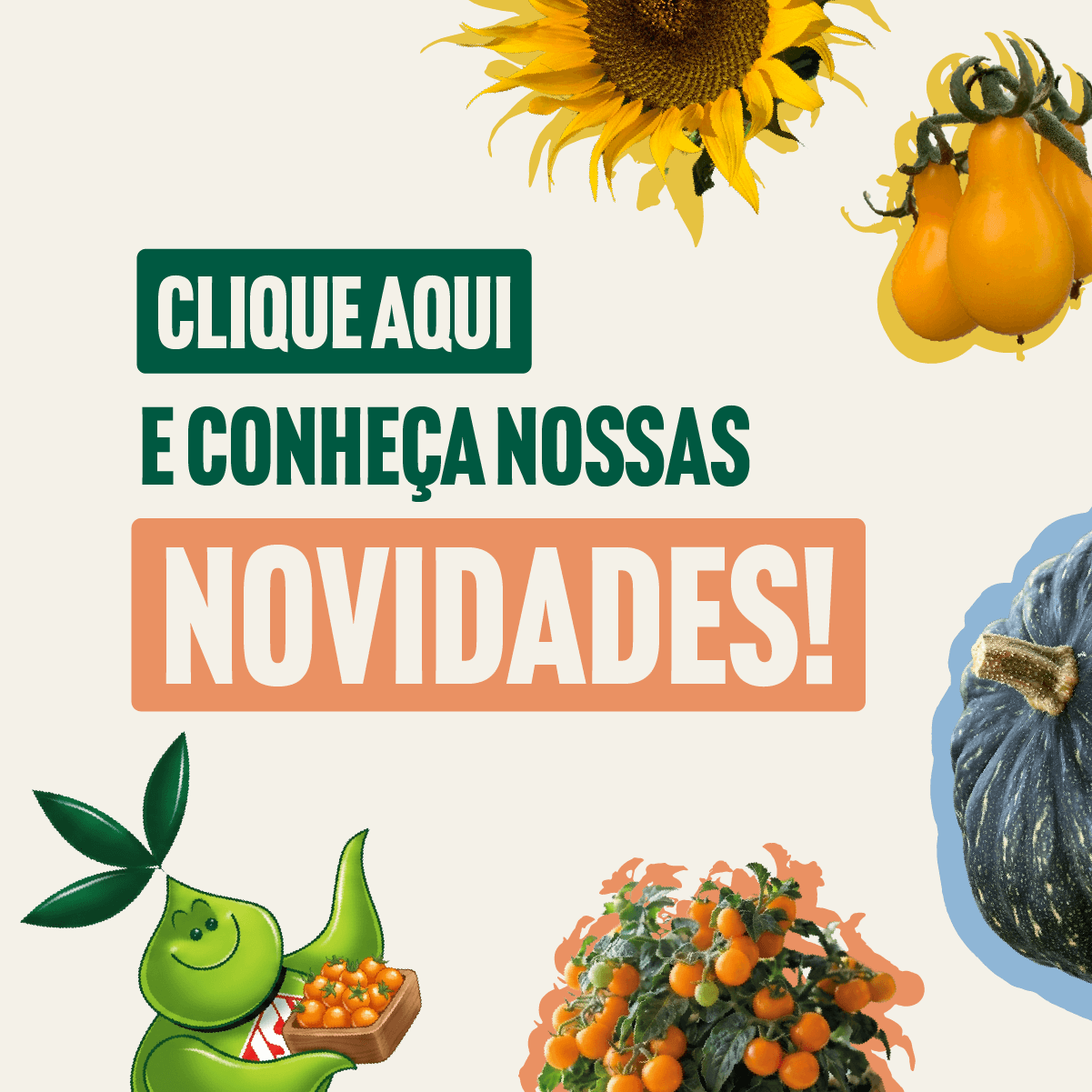 LANÇAMENTOS