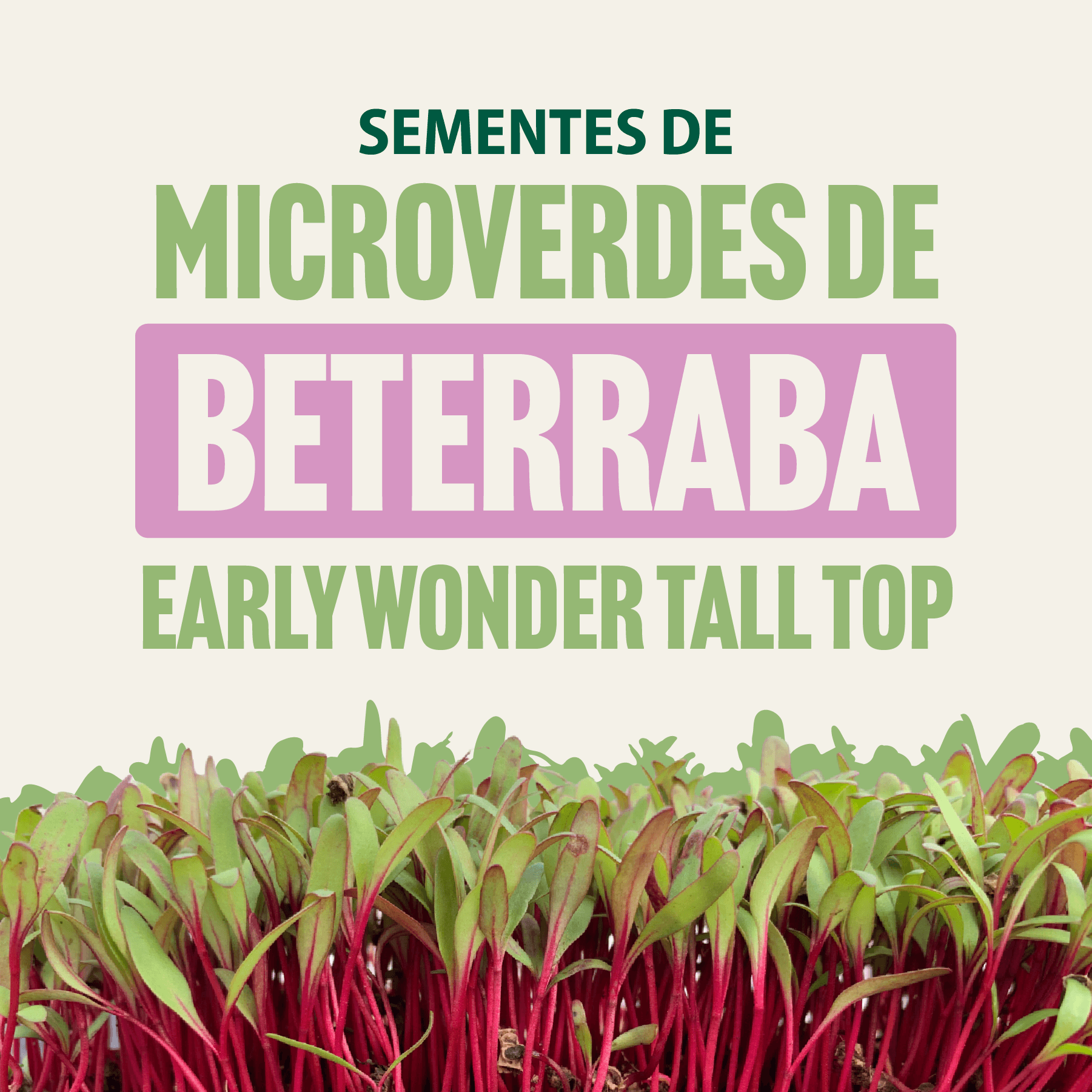 Beterraba Early Wonder Tall Top