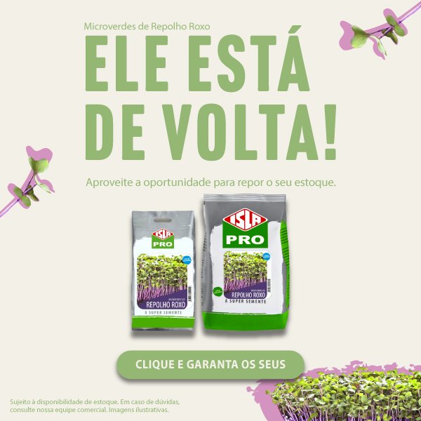 Banner do Repolho