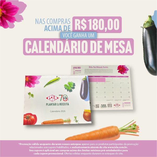 Calendário Risque Rabisque