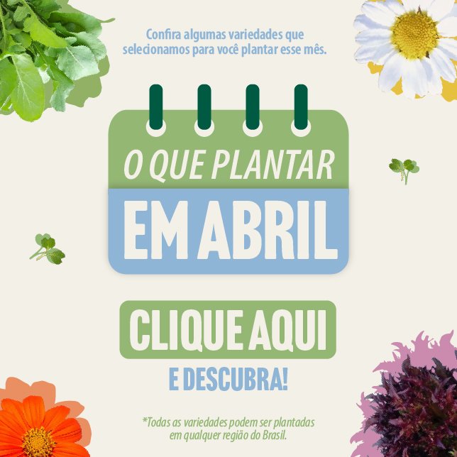 Banner o que plantar