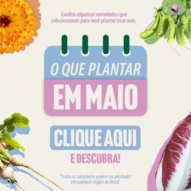 Banner o que plantar