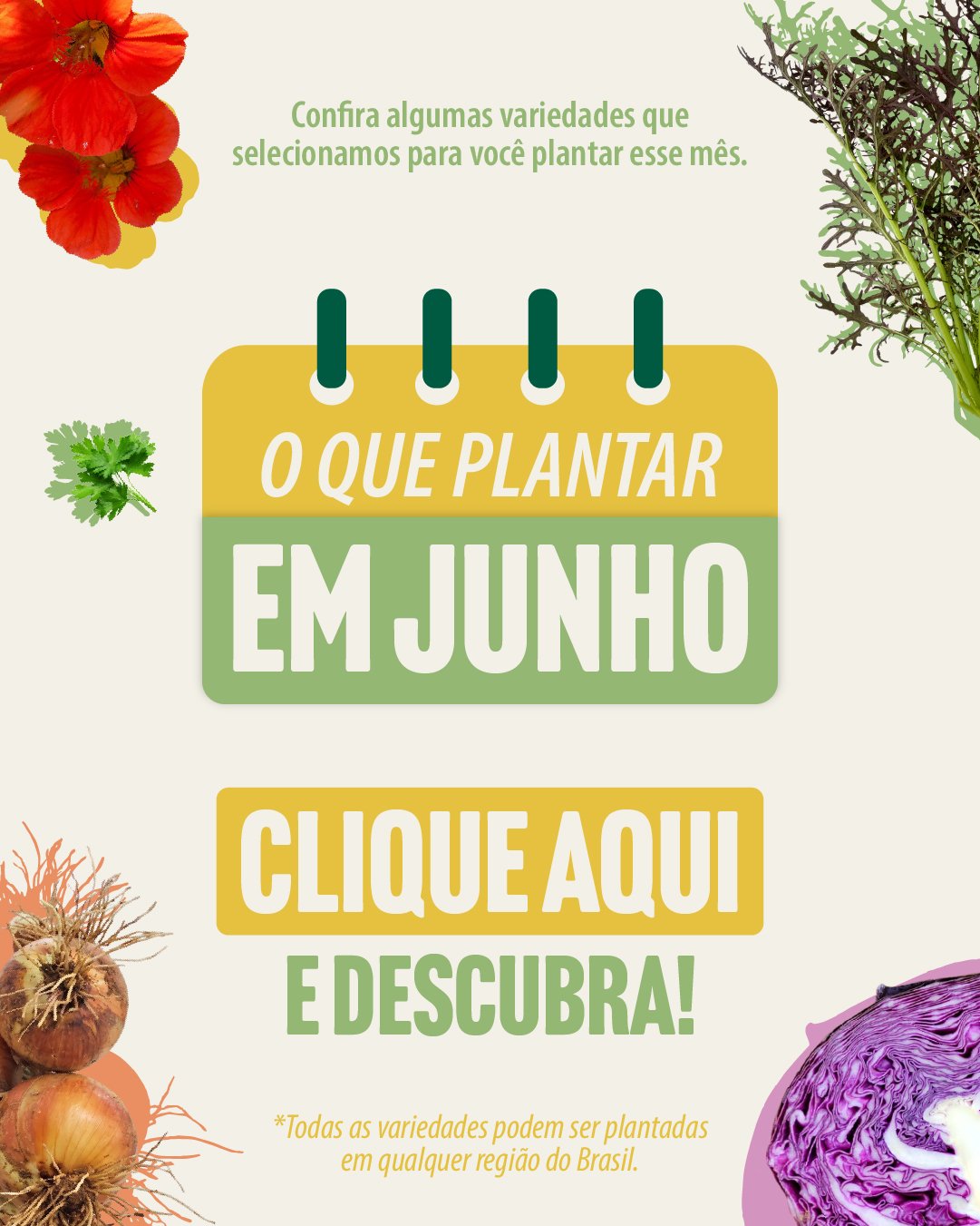 Banner o que plantar