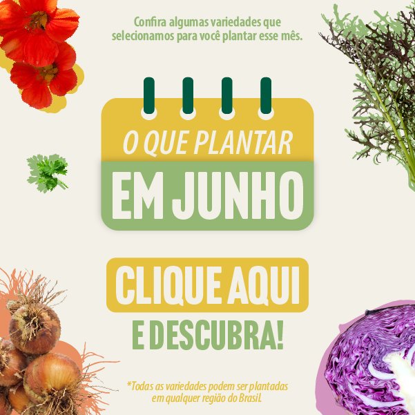 Banner o que plantar