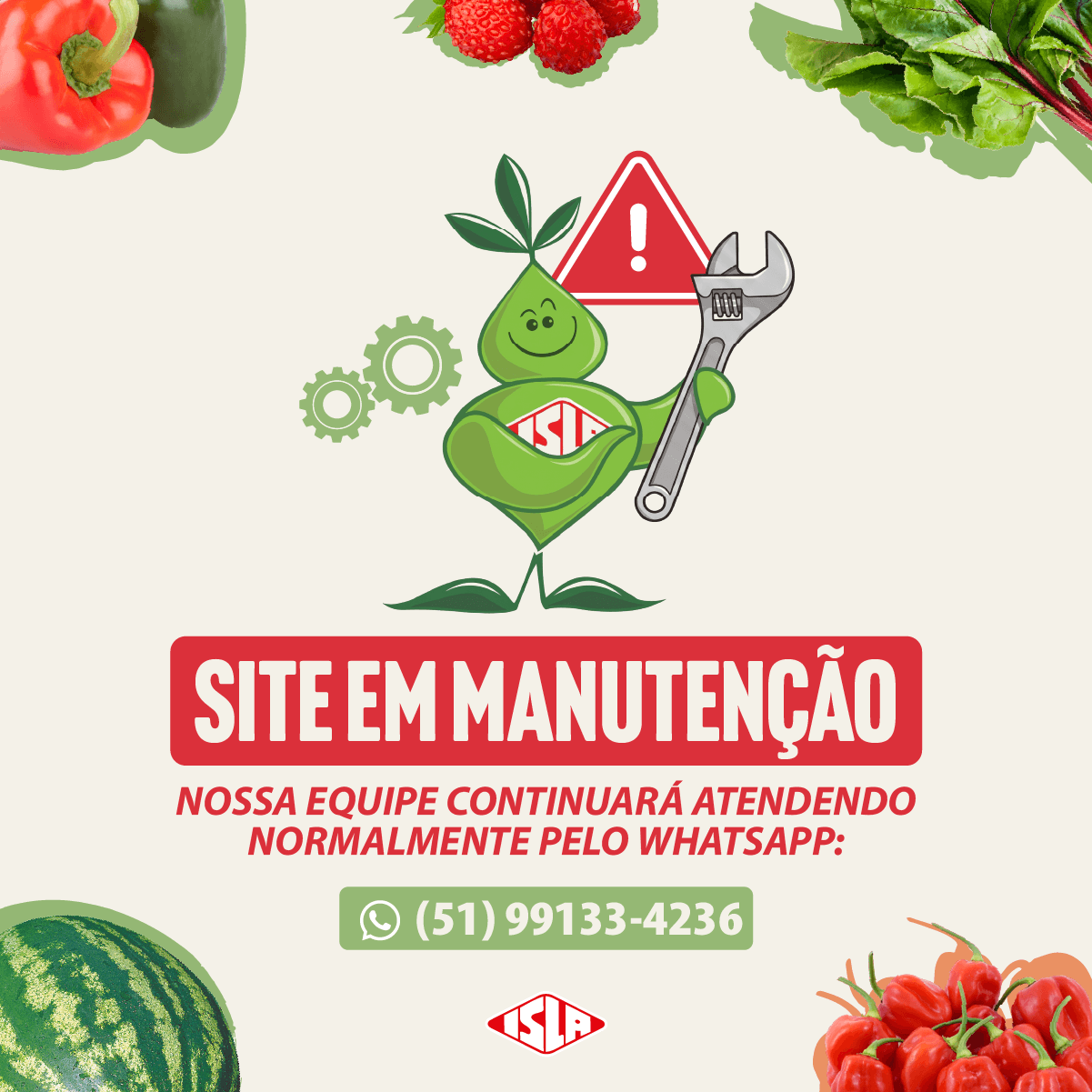 MANUTENÇÃO